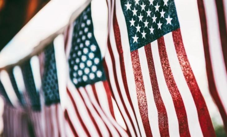 Group of American Flags